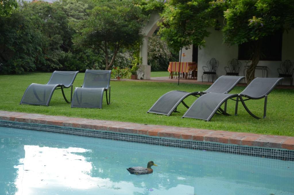 Susana Just Boutique Hotel Vicente Lopez Exterior photo